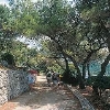 ARISTON Dubrovnik Babin Kuk 4